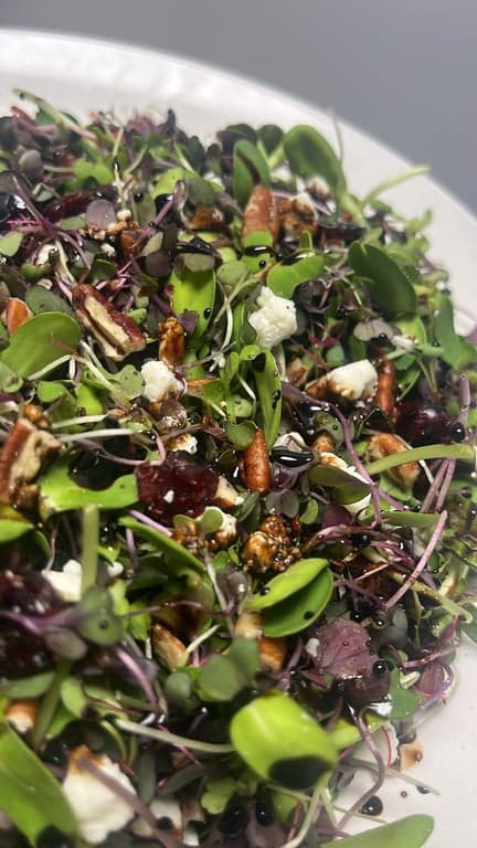 Autumn Harvest Salad